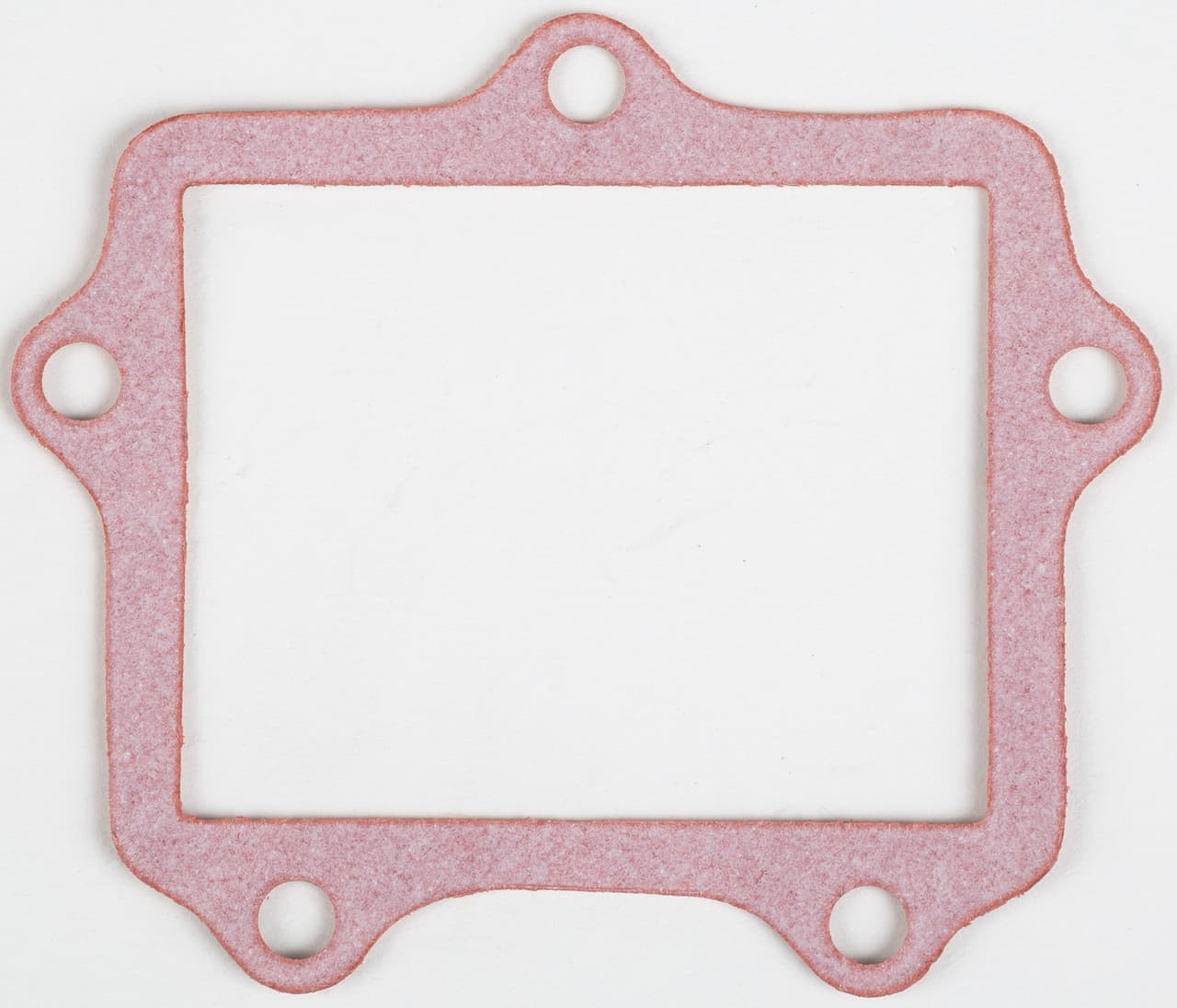 MOTORCYCLE RAD GASKET