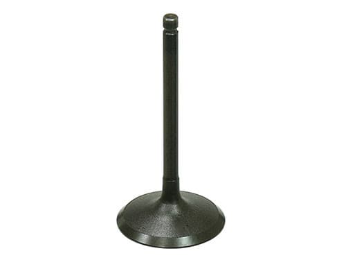 BRONCO INTAKE VALVE