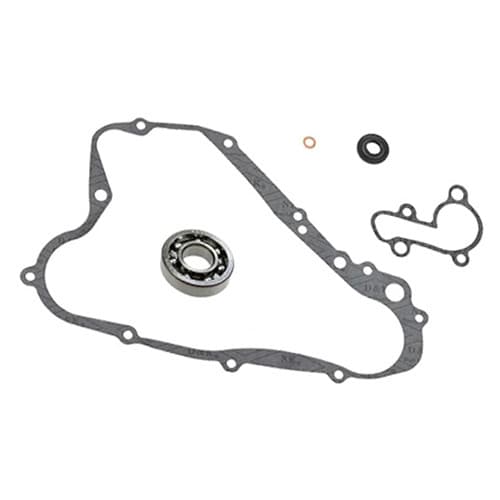 PSYCHIC WATERPUMP REPAIR KIT