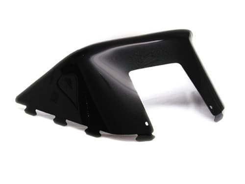 WINDSHIELD BLACK POL