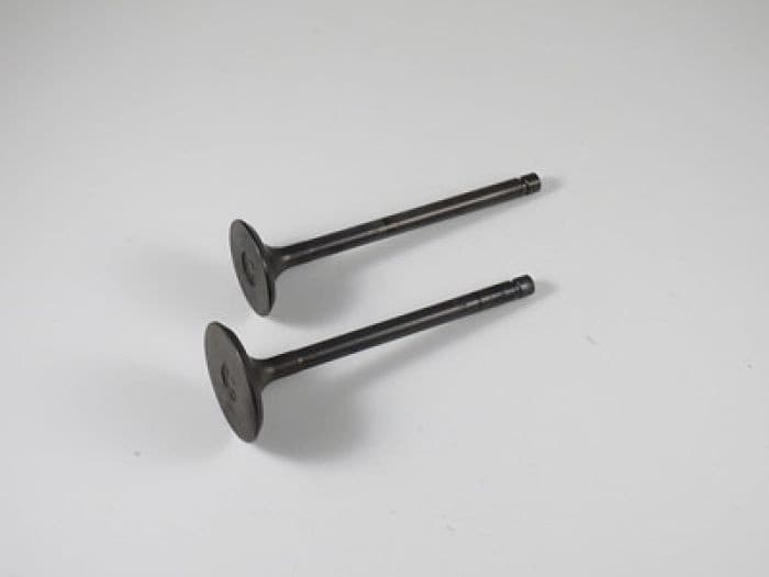 ENGINE VALVE SET YFM250B (05-09)