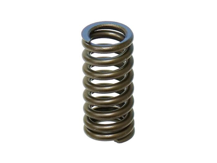 INTAKE VALVE SPRING