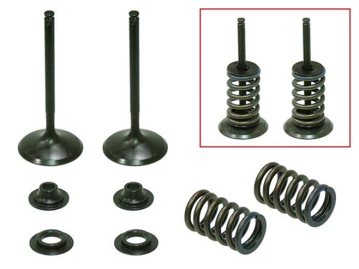 PSYCHIC INTAKE VALVE KIT