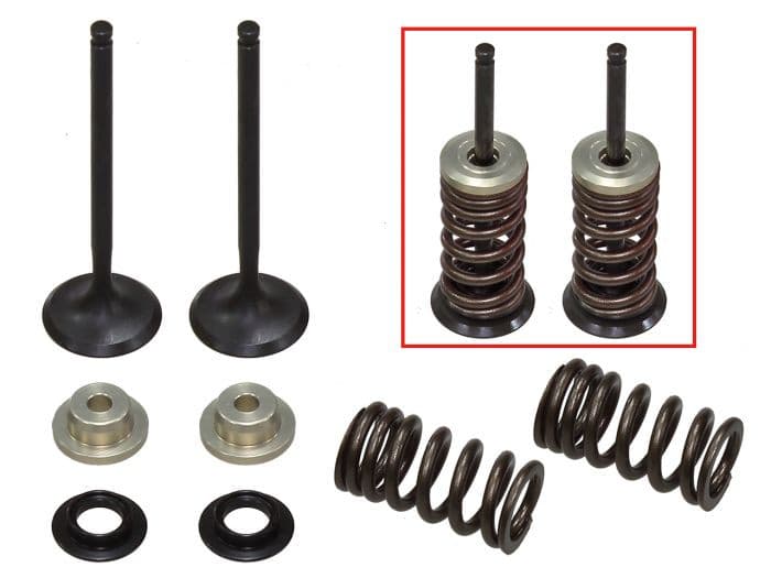 PSYCHIC EXHAUST VALVE KIT