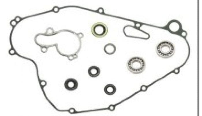 PSYCHIC WATERPUMP REPAIR KIT