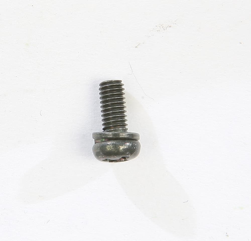 SCREW W/WASHER