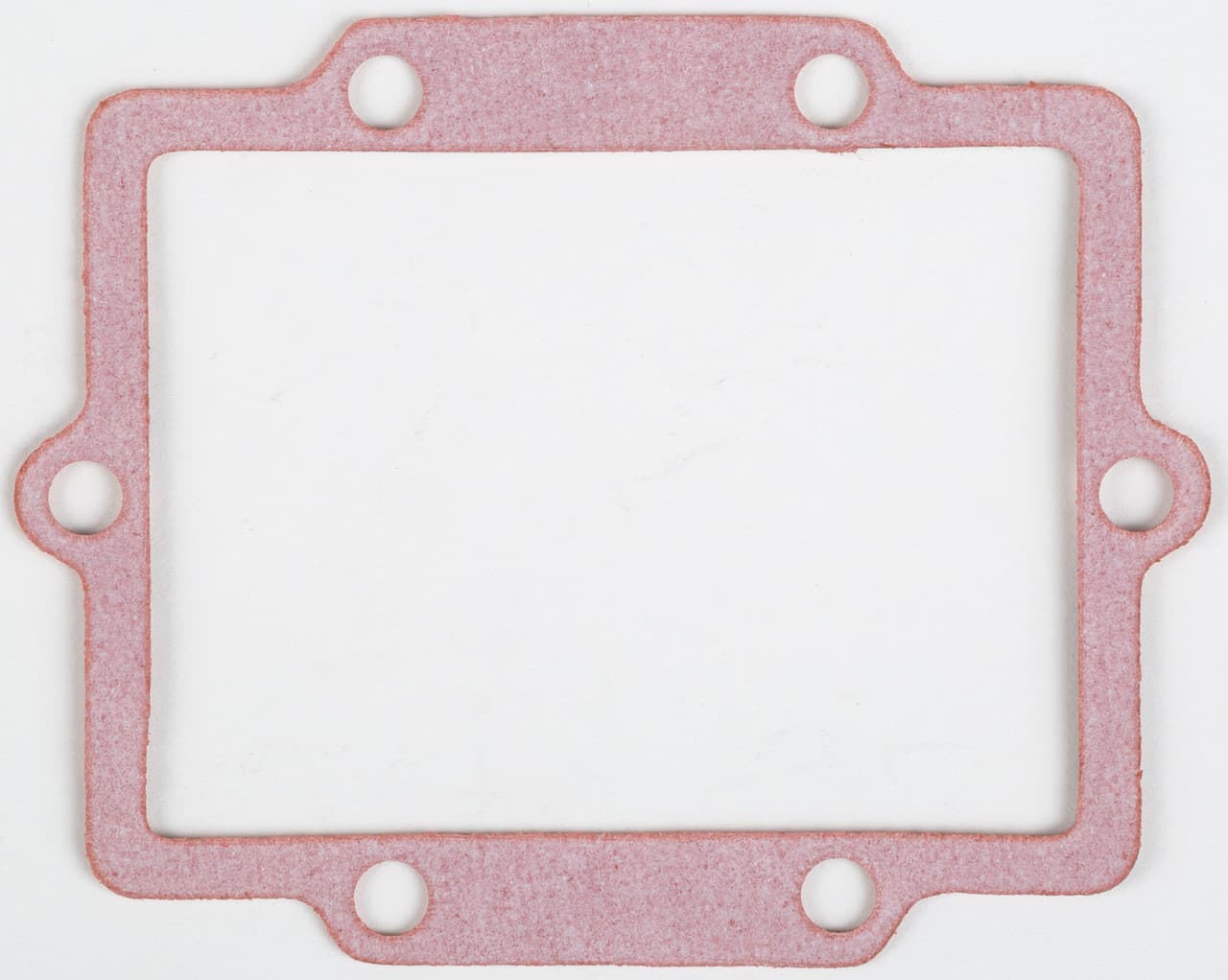 MOTORCYCLE RAD GASKET