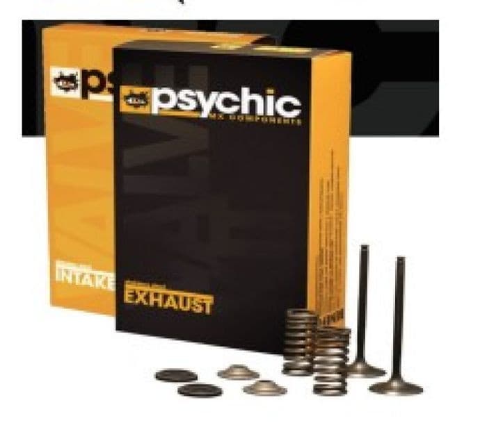 PSYCHIC EXHAUST VALVE