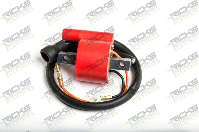 Ricks Ignition Coil