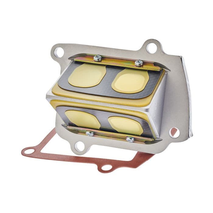 MOTORCYCLE RAD VALVE