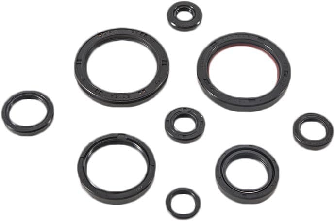 Vertex Oil Seal Set