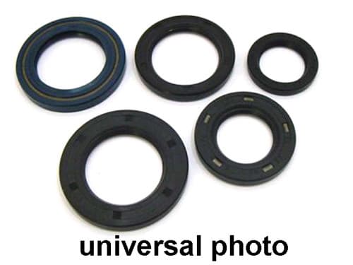 VERTEX OIL SEAL KIT