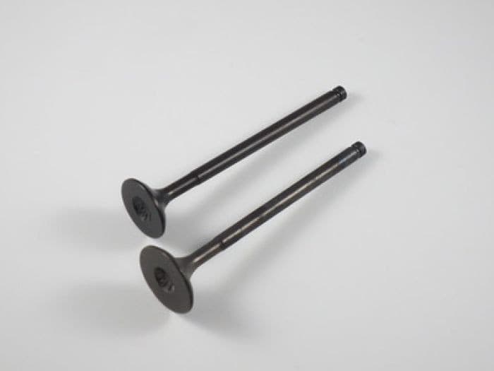 ENGINE VALVE SET TRX300EX (93-08)