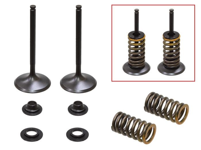 PSYCHIC INTAKE VALVE KIT