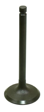 Namura Intake Valve
