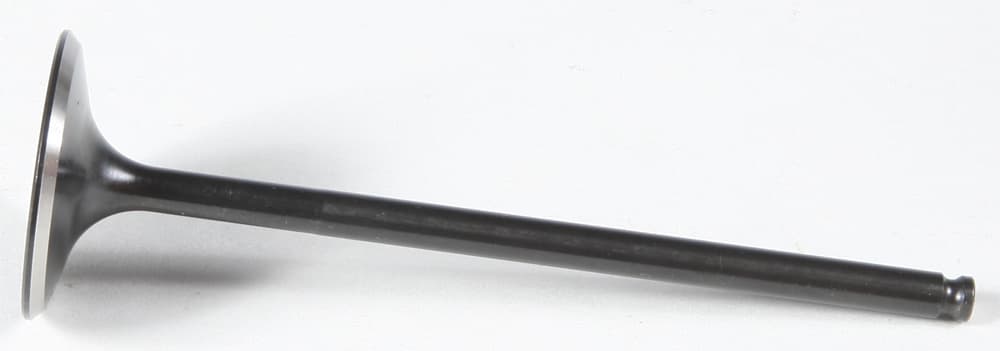 BLACK DIAMOND INTAKE VALVE