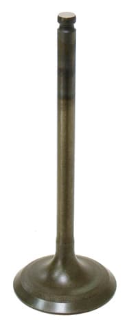 Namura Intake Valve
