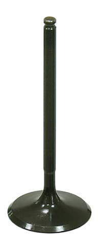 INTAKE VALVE