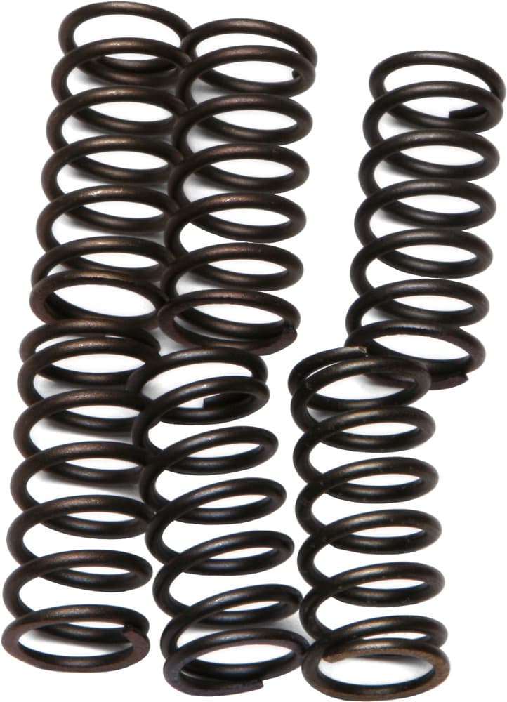 EBC Clutch Springs CSK38
