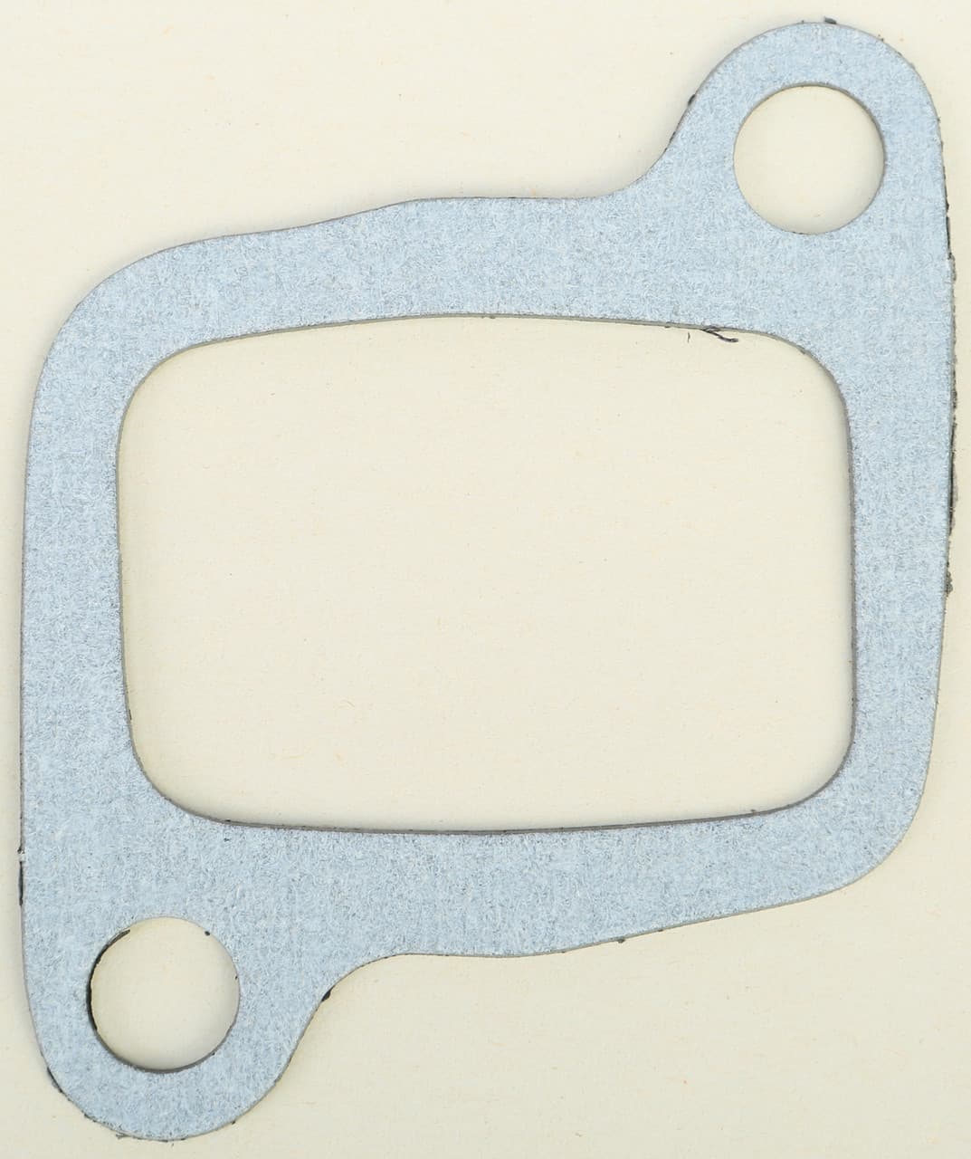 INTAKE GASKET