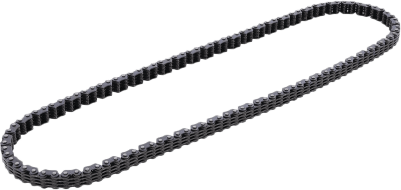 CAM CHAIN