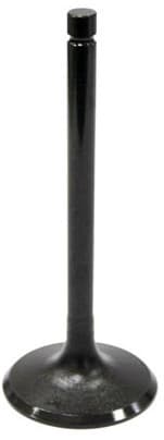 INTAKE VALVE