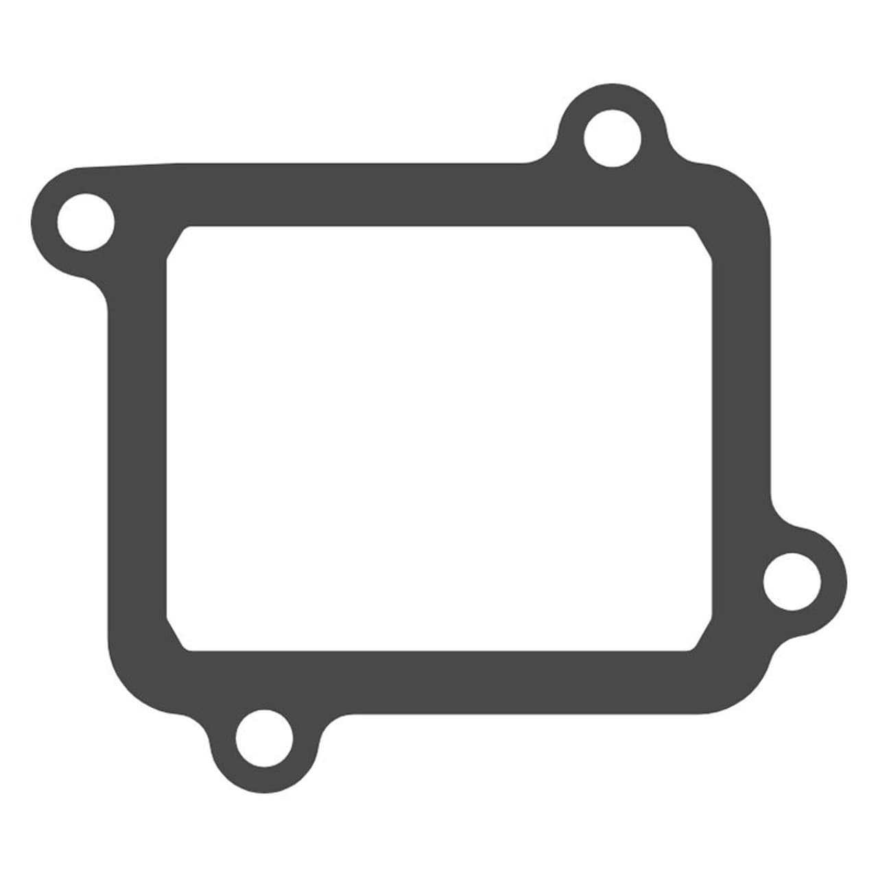 VFORCE4 GASKET