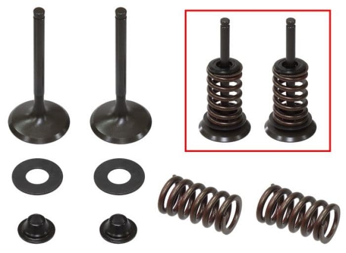 PSYCHIC EXHAUST VALVE KIT
