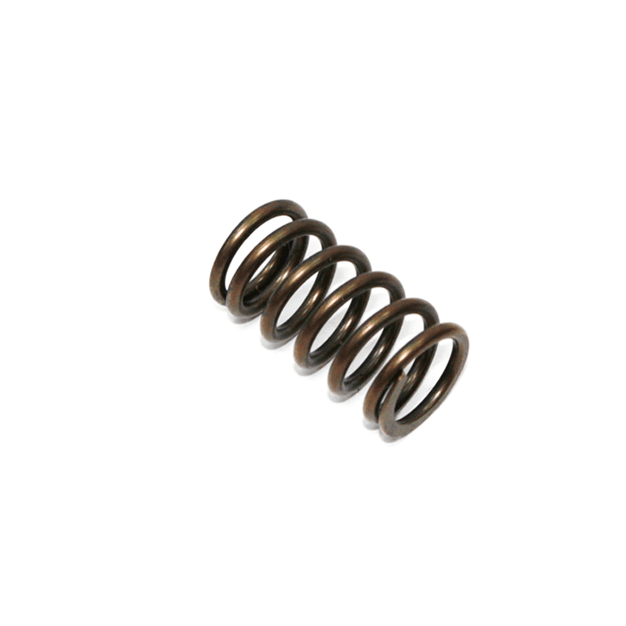 PSYCHIC EXHAUST/INTAKE VALVE SPRING