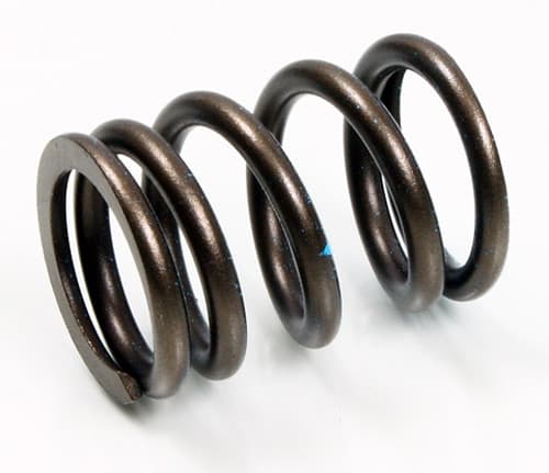 PSYCHIC INTAKE VALVE SPRING
