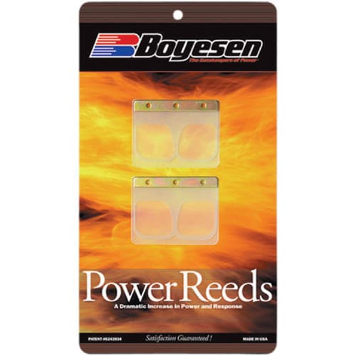 MOTORCYCLE REEDS