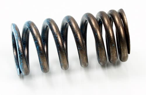 PSYCHIC INTAKE VALVE SPRING