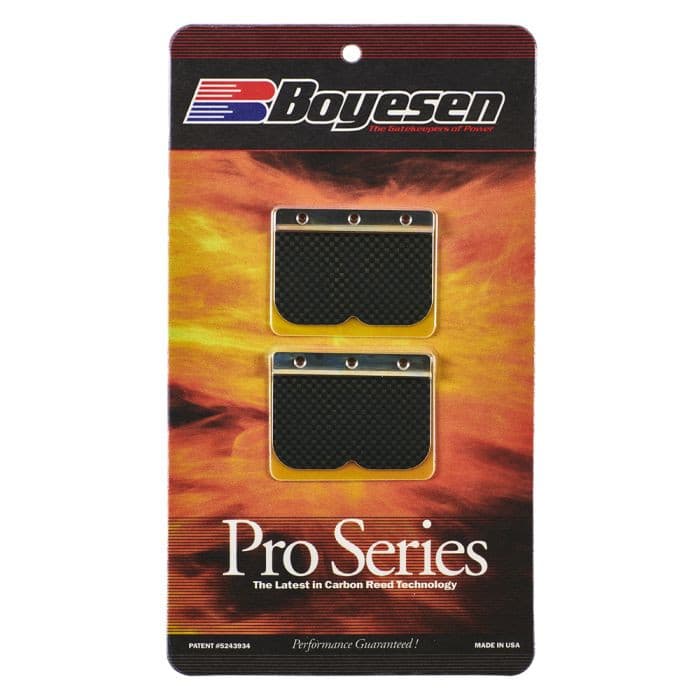 BOYESEN RAGE CAGE REPLACEMENT REEDS