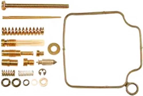 CARBURETOR REPAIR KIT