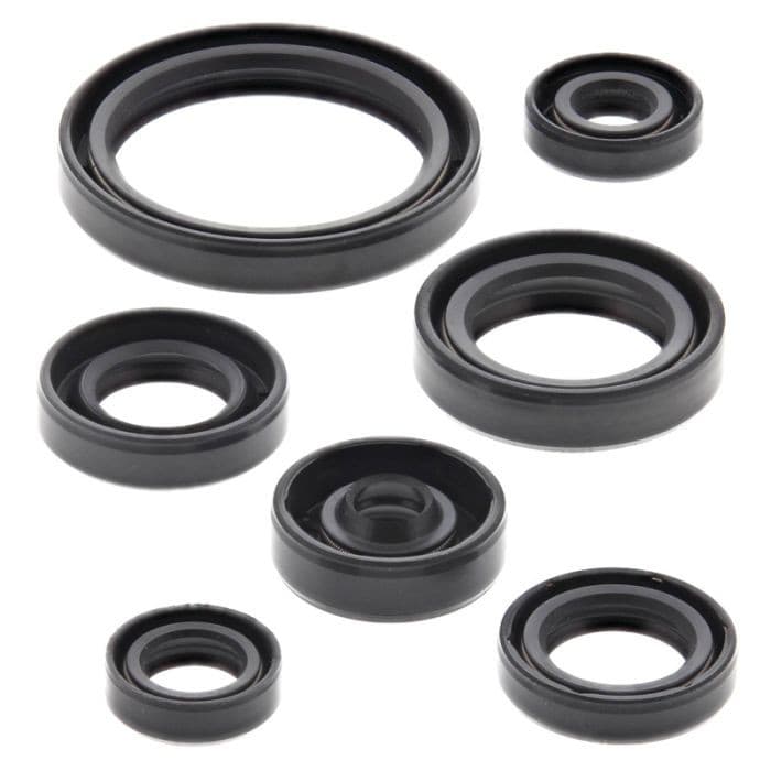 VERTEX ENGINE OIL SEAL KIT