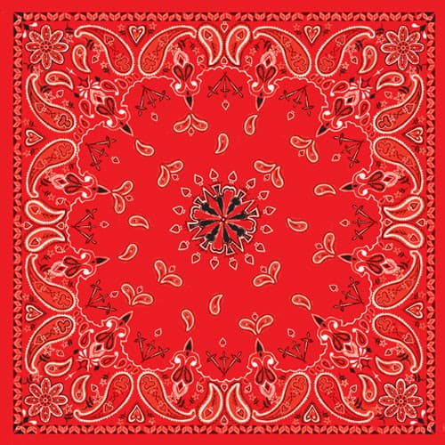 Zan Bandanna Red Paisley