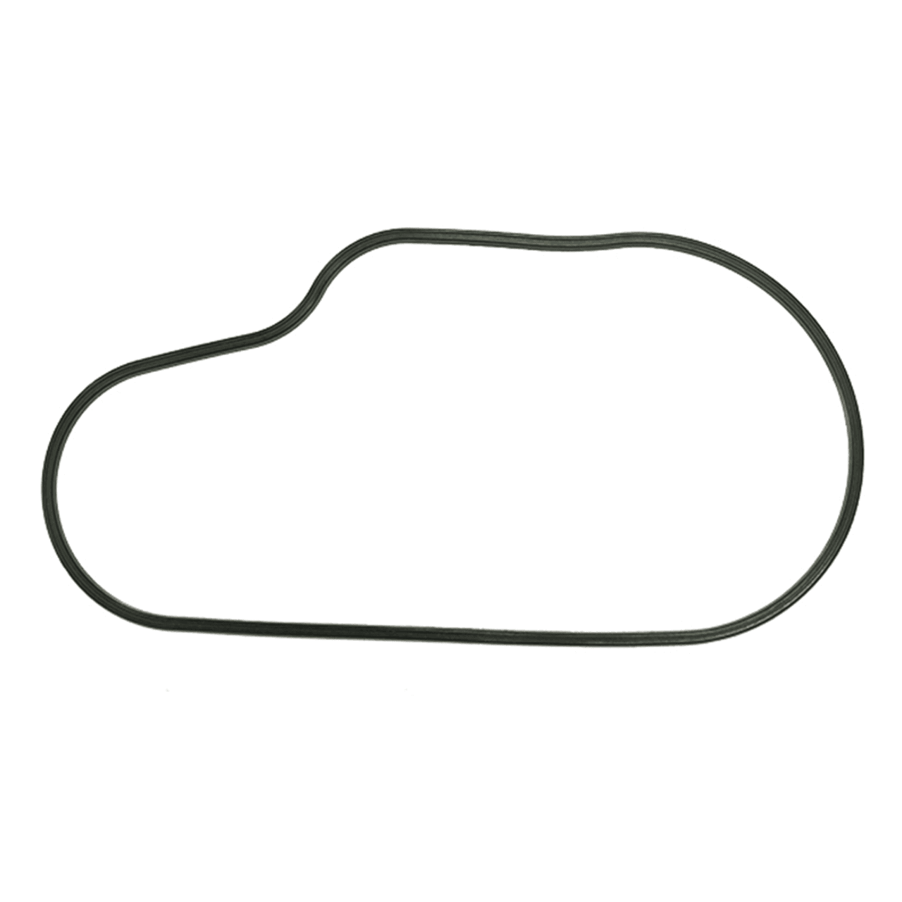 SPI CHAINCASE GASKET