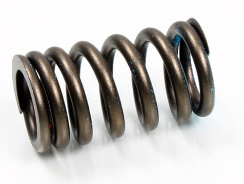 PSYCHIC EXHAUST VALVE SPRING
