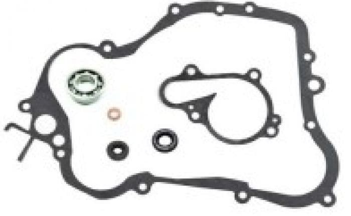 PSYCHIC WATERPUMP REPAIR KIT