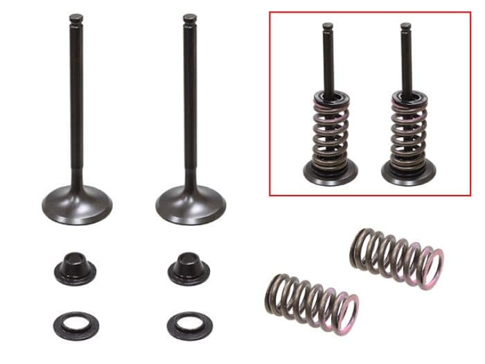 PSYCHIC EXHAUST VALVE KIT