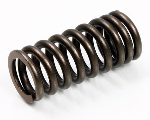 PSYCHIC INTAKE VALVE SPRING