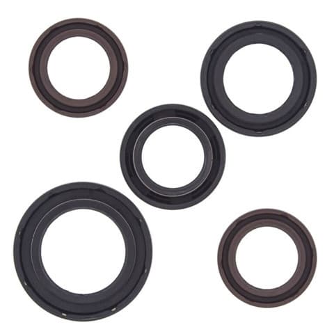 VERTEX ENGINE OIL SEAL KIT