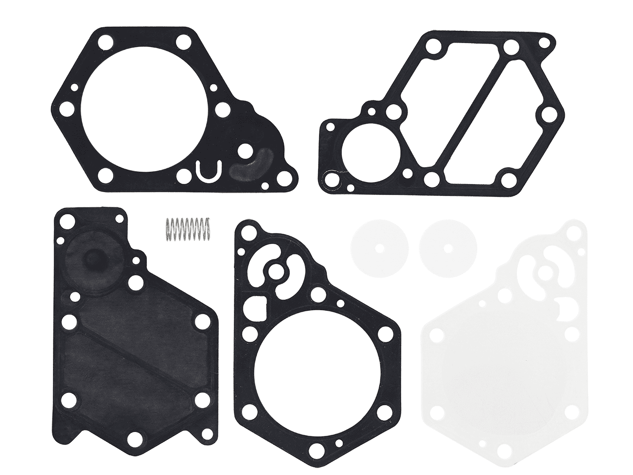 SP1 Fuel Pump Repair Kit AC