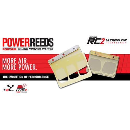 MOTORCYCLE REEDS
