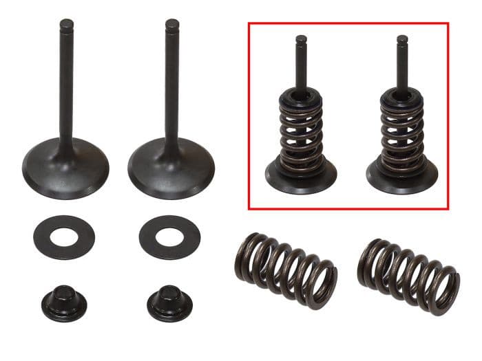 PSYCHIC INTAKE VALVE KIT