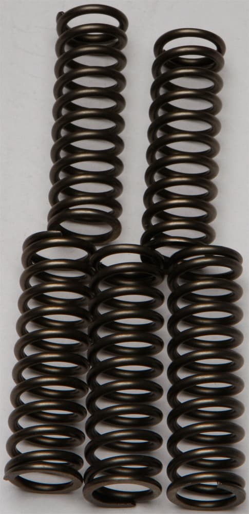 CLUTCH SPRINGS CSK169