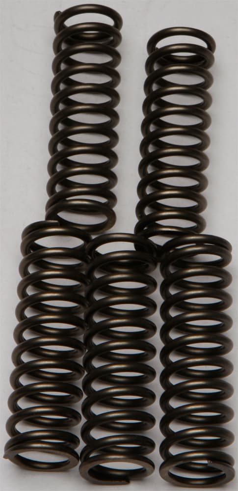 CLUTCH SPRINGS CSK169