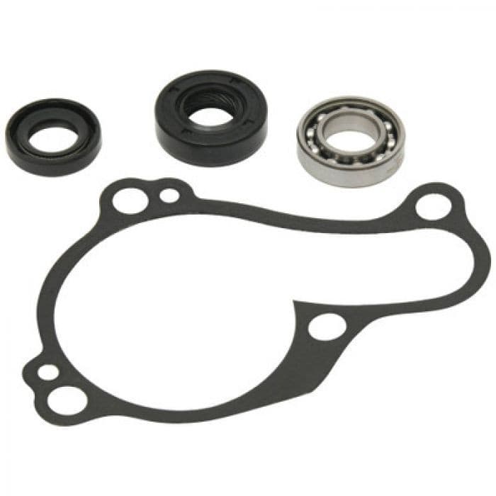 WATER PUMP KIT