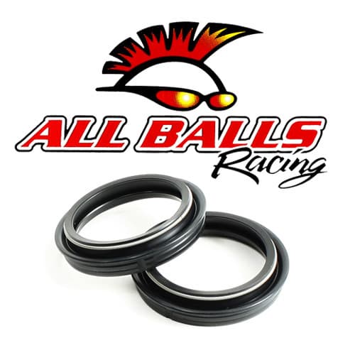 FORK DUST SEAL KIT