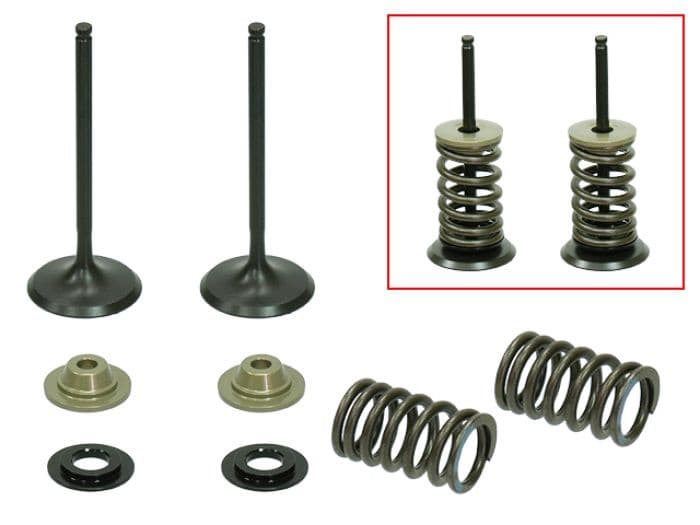 PSYCHIC INTAKE VALVE KIT